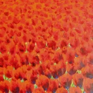 4508-rood tulpenveld